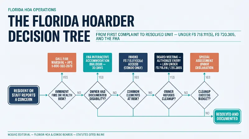 The Florida Hoarder Decision Tree full size