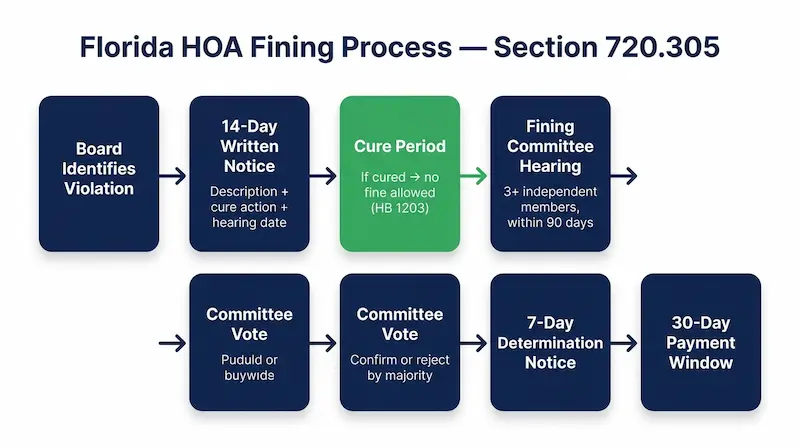 Flowchart showing the Florida HOA fining process from violation identification through 14-day notice, cure period, fining committee hearing, 7-day determination, and 30-day payment window